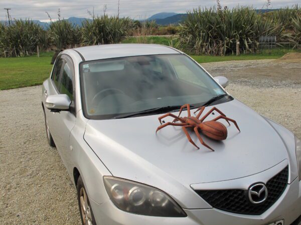100% Leather Spider - Image 15
